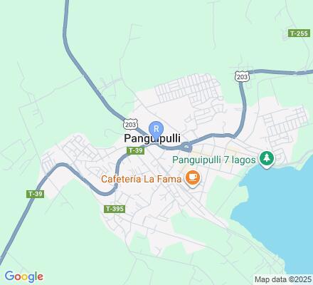 Aviso MVS Group en Panguipulli